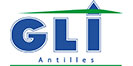 groupe-plissonneau-logo-gli_web-v2
