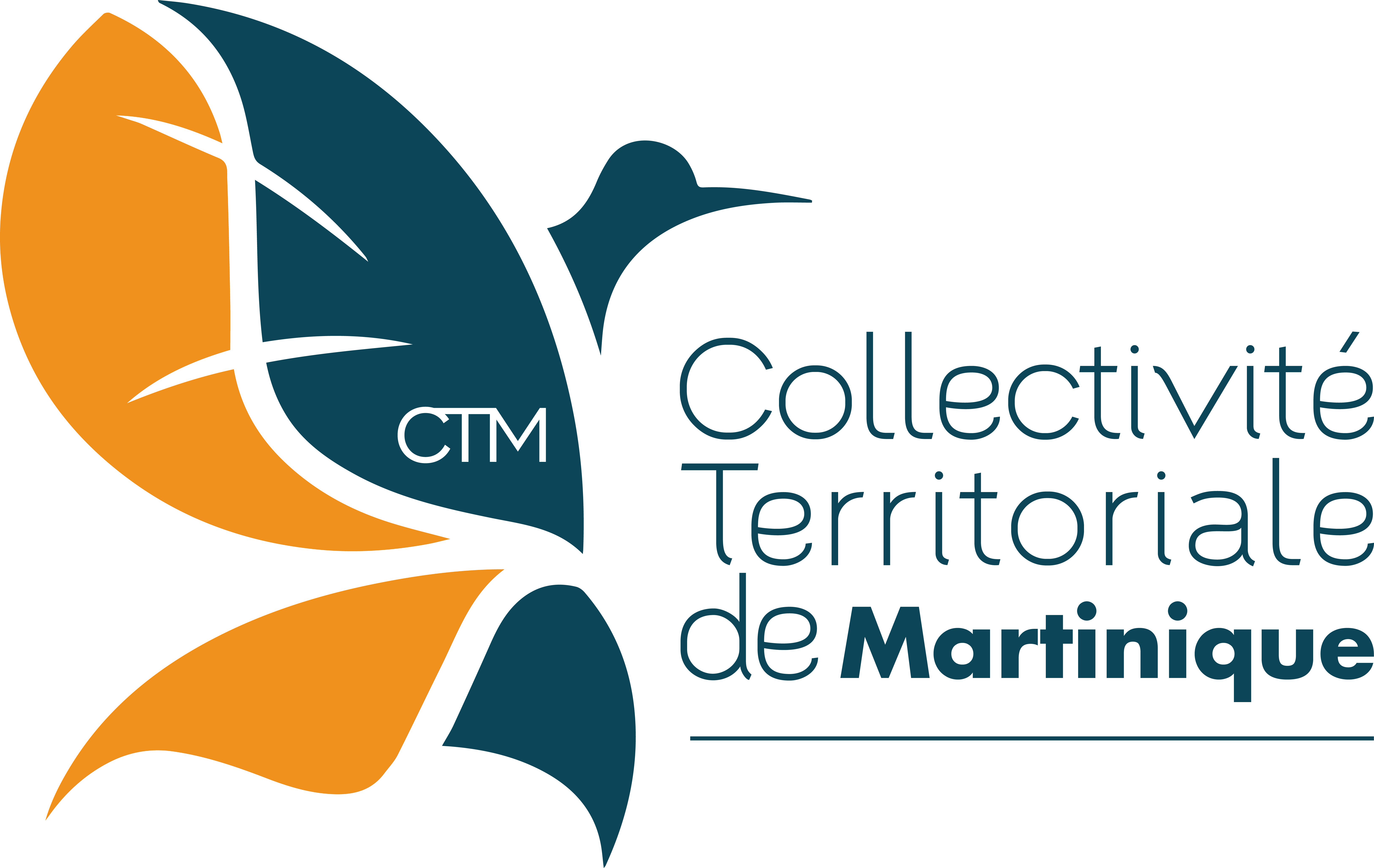 logo CTM coul1 RVB 1